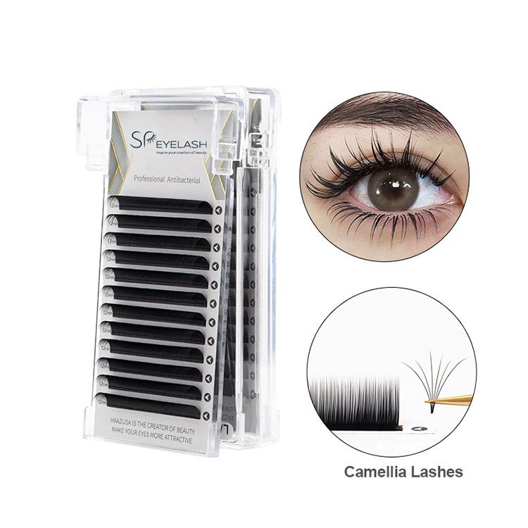 0.07 camellia lash tray