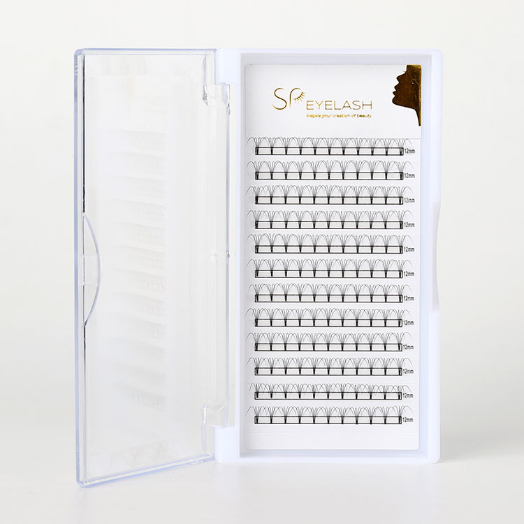 Pression Fan Fashes သည် Professional Lash extensions ၏အနာဂတ်ကိုပုံသွင်းရန်အဘယ်ကြောင့်ဖြစ်သနည်း။