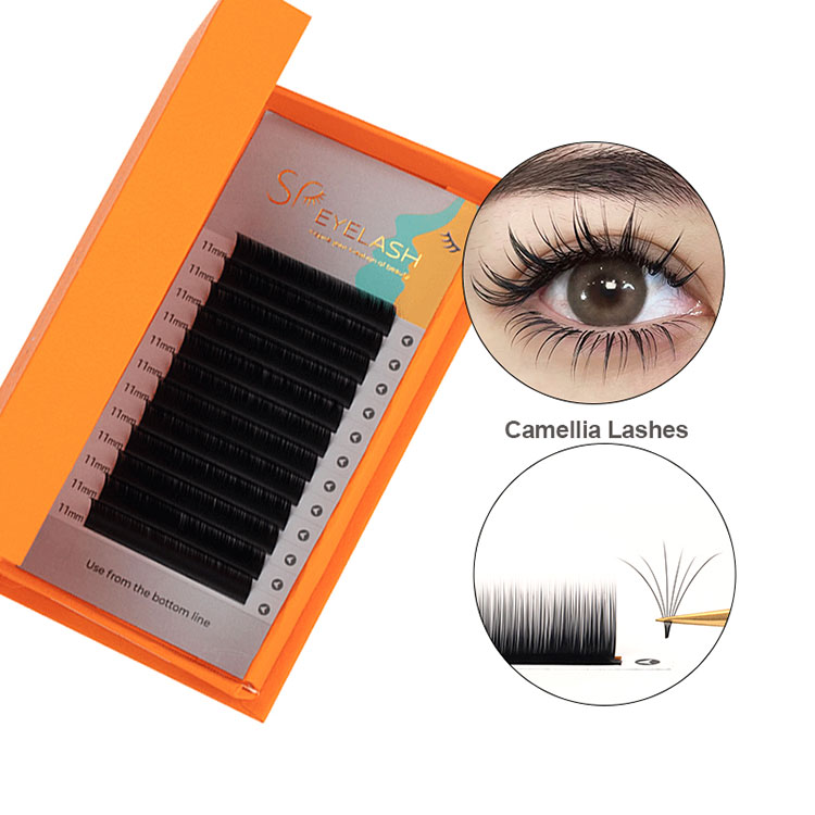 Camellia လွယ်ကူသော fanning volume ကို lashes