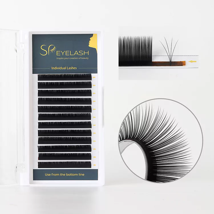 Camellia Lash တိုးချဲ့မှုများ