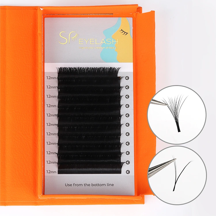 cilia v လှိုင်း lashes