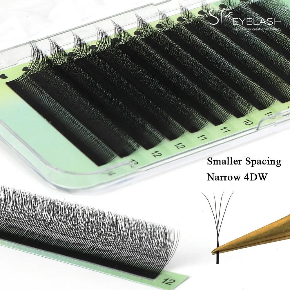 ကျဉ်းမြောင်းသော 4D w lashes